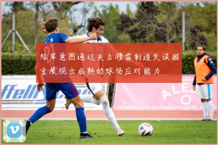 绿军意图通过夹击穆雷制造失误掘金展现出成熟的球场应对能力