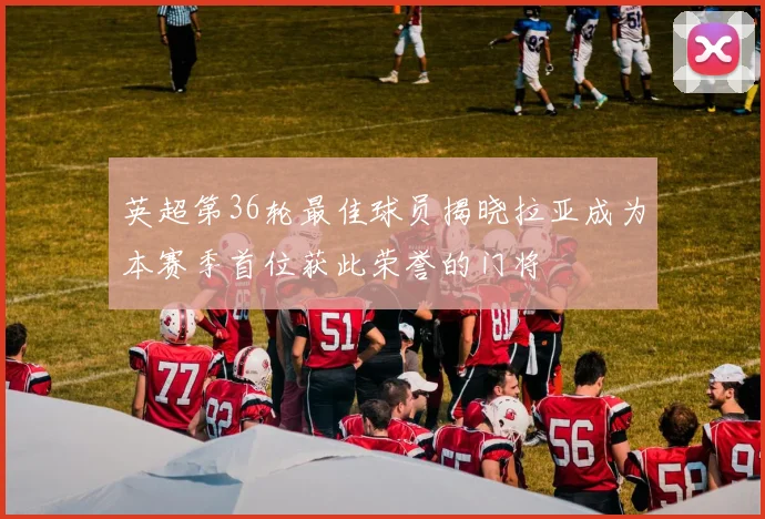 英超第36轮最佳球员揭晓拉亚成为本赛季首位获此荣誉的门将