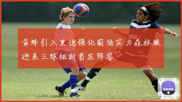 黄蜂引入里德强化前场实力森林狼迎来三球组新首发阵容